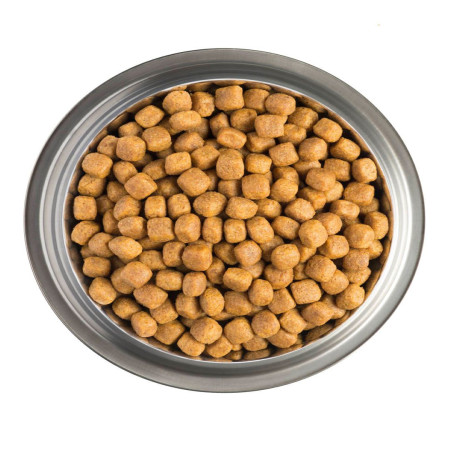 PPPVD Canine UR Urinary PPPVD Canine UR Urinary