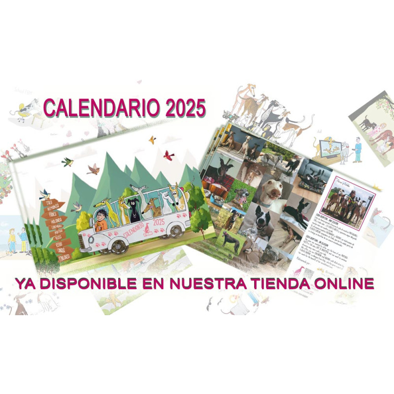 Calendario Solidario Fundación Benjamín Mehnert 2025