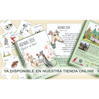 Agenda  Solidario Fundación Benjamín Mehnert 2025